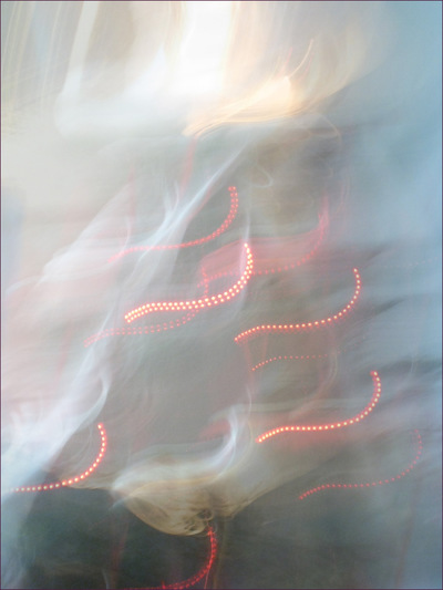 Museum Quality Photographic Art - Dove