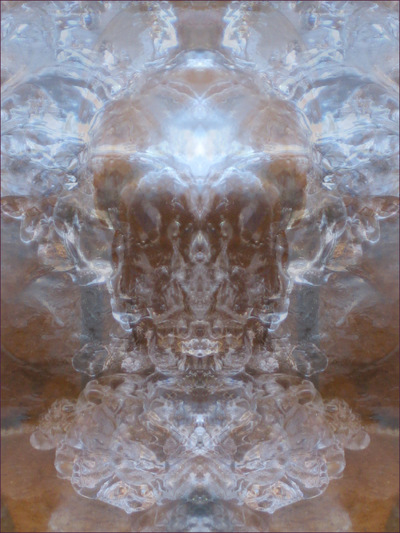 Museum Quality Photographic Art - 2011 Ice Chalice
