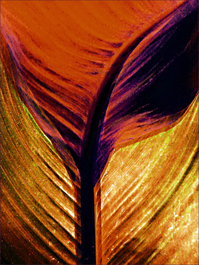 Museum Quality Photographic Art - 2009 Three Leaves. Three fragile leaves, stacked, can withstand a gust of wind.