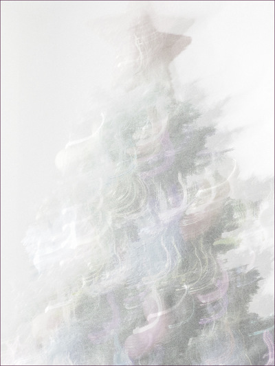 Museum Quality Photographic Art - Flurries