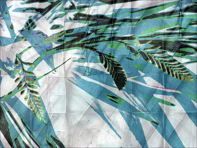 Museum Quality Photographic Art - 2011 Crocosmia Silk (published) Tucked into a pocket and forgotten. Still holds the faint scent of ocean where traces of salt water bled the colors.