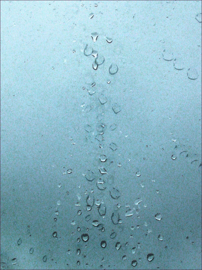Museum Quality Photographic Art - 2012 Rain