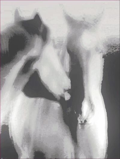 Museum Quality Photographic Art - Listen 2012 27 x 36 inches (68.58 x 91.44 cm) Red and Monty sharing secrets.