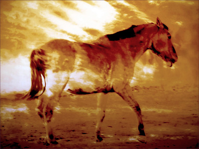 Museum Quality Photographic Art - Soldier 2013 48 x 36 inches (121.92 x 91.44 cm) Olin wanted to be depicted in Cavalry so I imagined him dodging explosions in a dusty battlefield.
