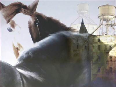 Museum Quality Photographic Art - Remembering Home 2016 24 x 18 inches (60.96 x 45.72 cm) Red and Asher miss their home at Centennial Mills.