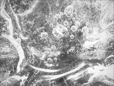 Museum Quality Photographic Art - 2013 River Frost