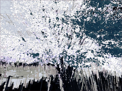 Museum Quality Photographic Art - 2015 Blossoming Tree