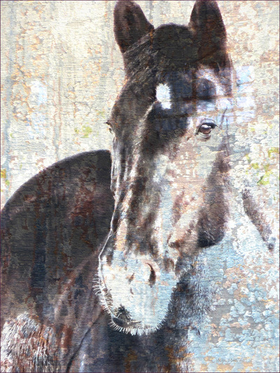 Museum Quality Photographic Art - ZEUS 1 2015 30 x 40 inches (76.20 x 101.60 cm) Herd boss Zeus is an American Warmblood. He is also suave-debonair-dashing, and one of those rare leaders who is easy to respect.