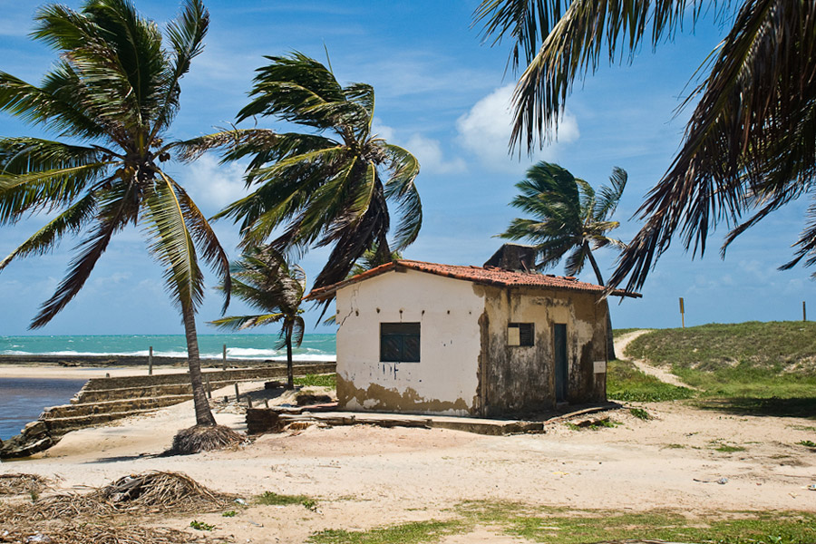 - Pipa (Brasil)