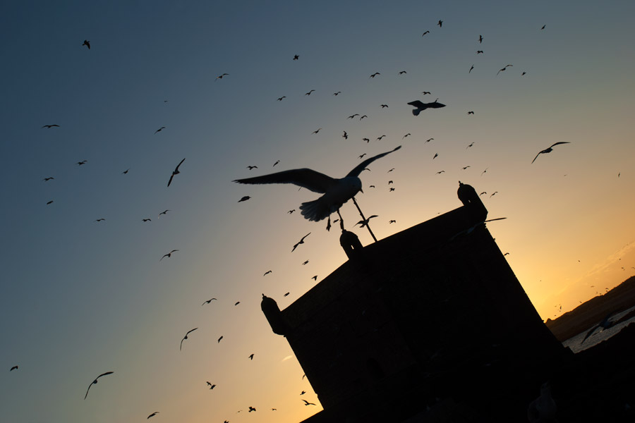 Teresa Arias Photography & Yoga - Essaouira (Morroco)