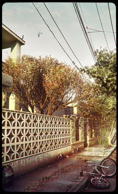 eugeniogarcia - lucy´s house