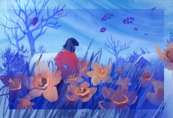 megan wood illustration - Daffodils