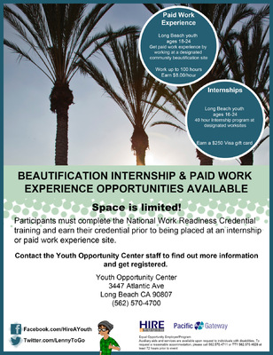 Jaime Arias Portfolio - Beautification Flyer