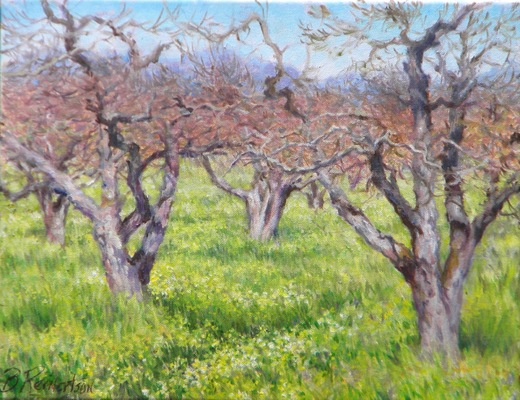 Barbara Reinertson - Almost Apple Blossoms 18 x 14