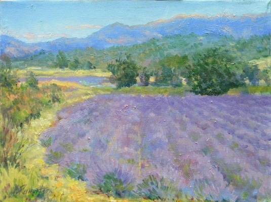 Barbara Reinertson - Provence Lavender 16 x 12
