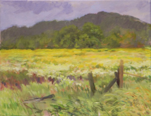 Barbara Reinertson - Spring Wildflowers 20 x 16