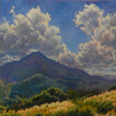 Barbara Reinertson - El Nino Sky 12 x 12