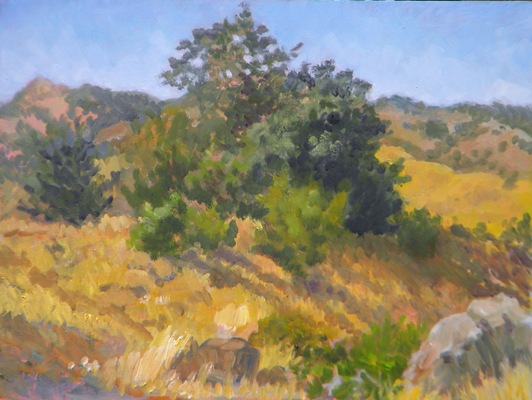 Barbara Reinertson - Terra Linda Light 16 x 12