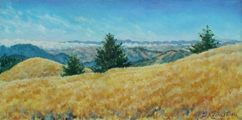 Barbara Reinertson - Late Light On Bolinas Ridge 24 x 12