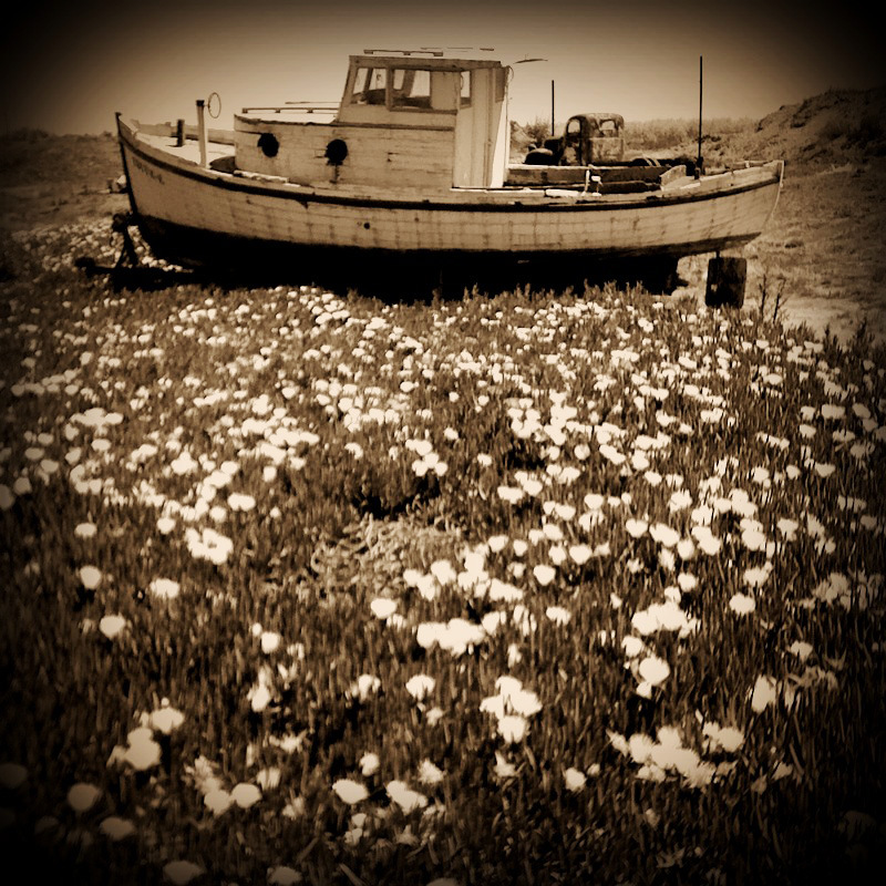 Nieslony Photography -