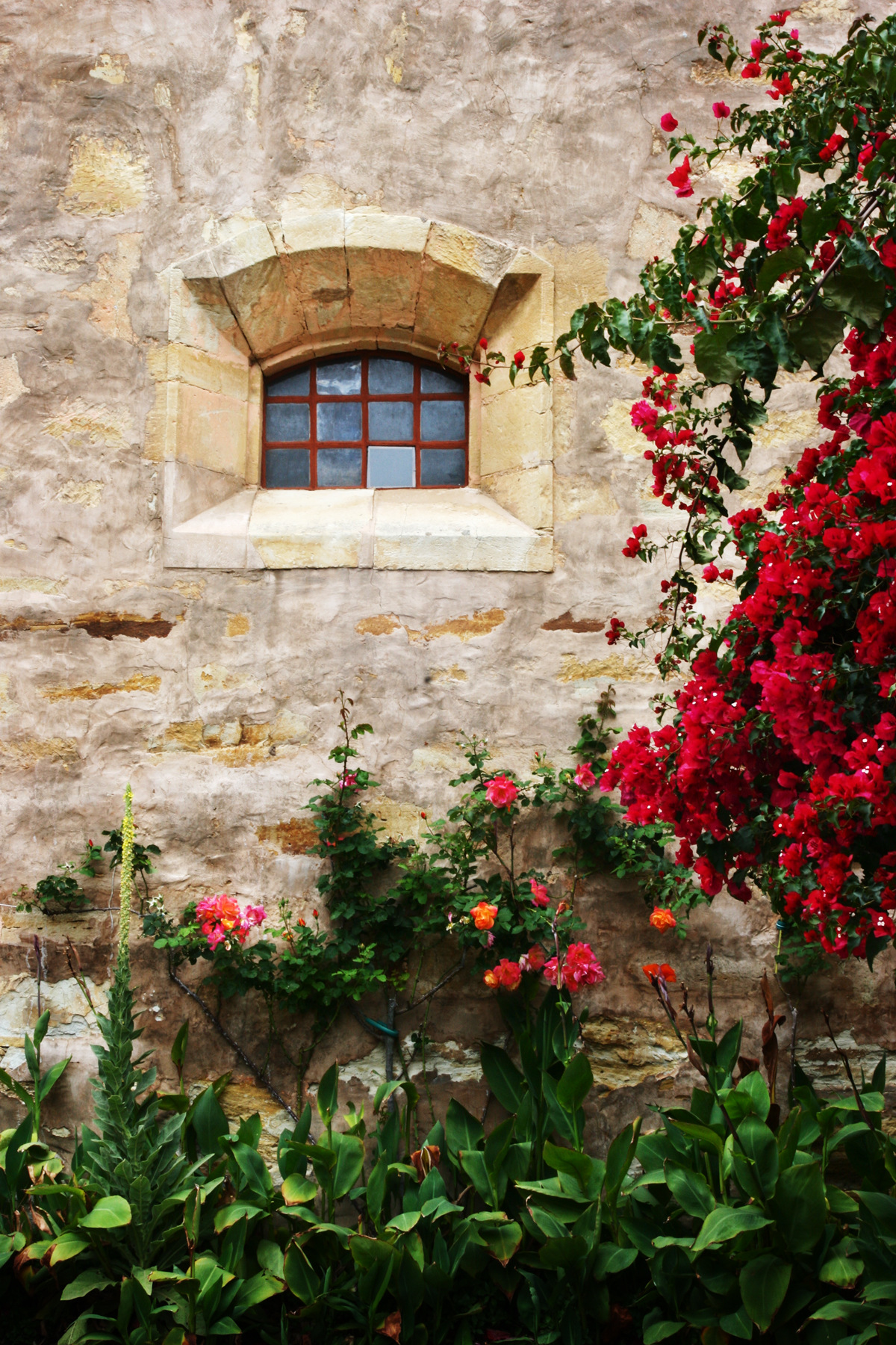 Nieslony Photography -