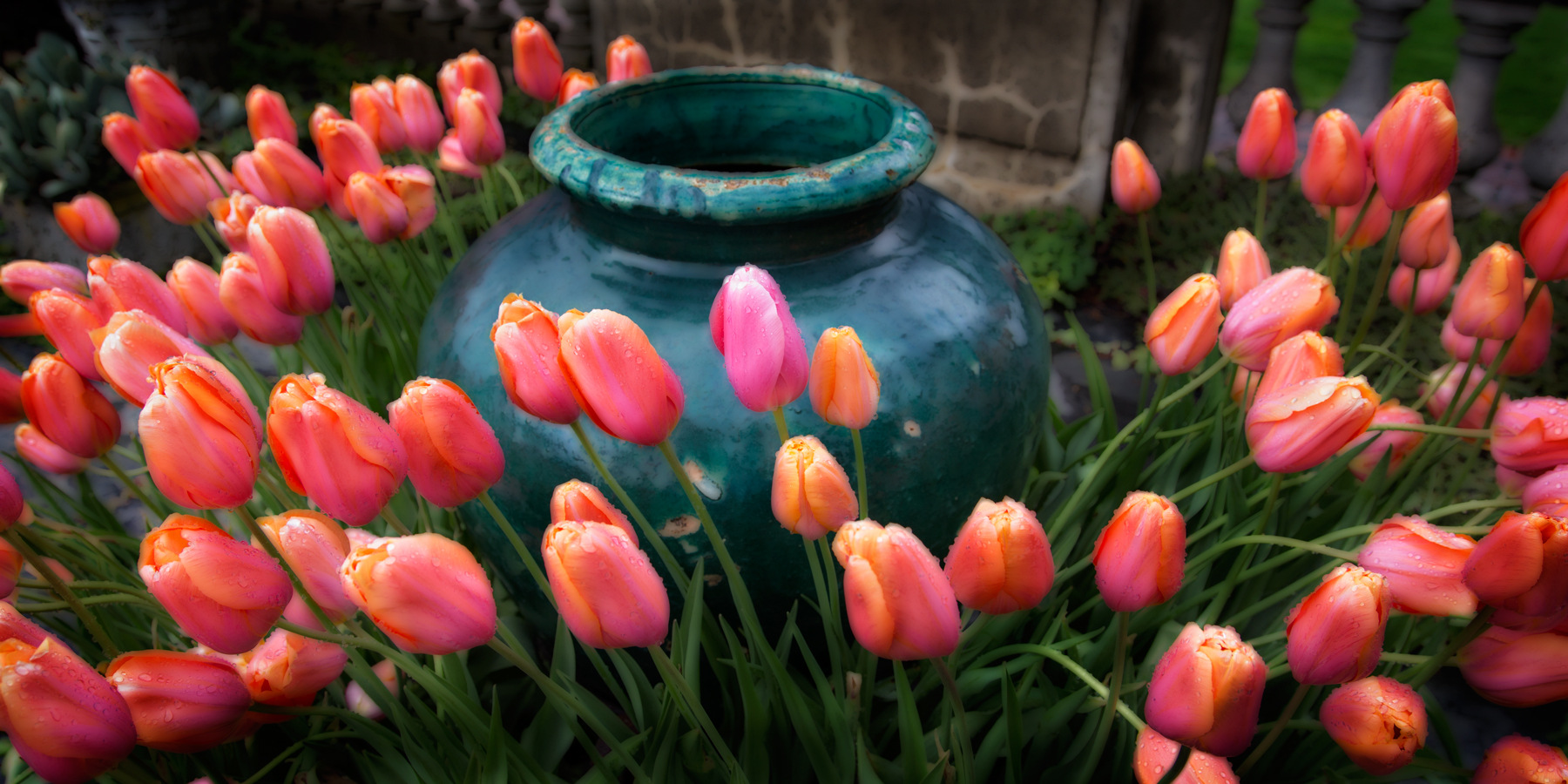 Nieslony Photography -