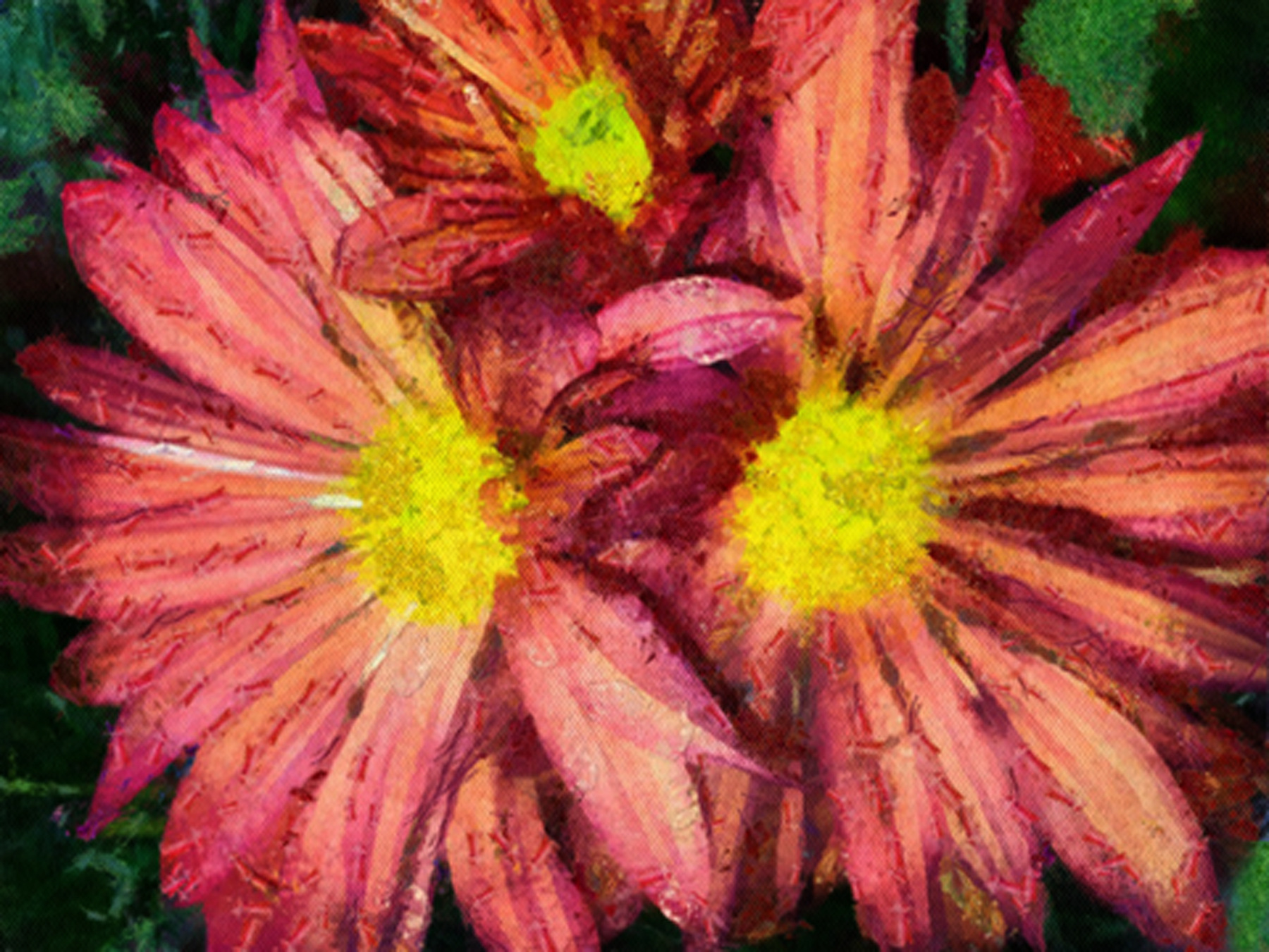 Nieslony Photography -