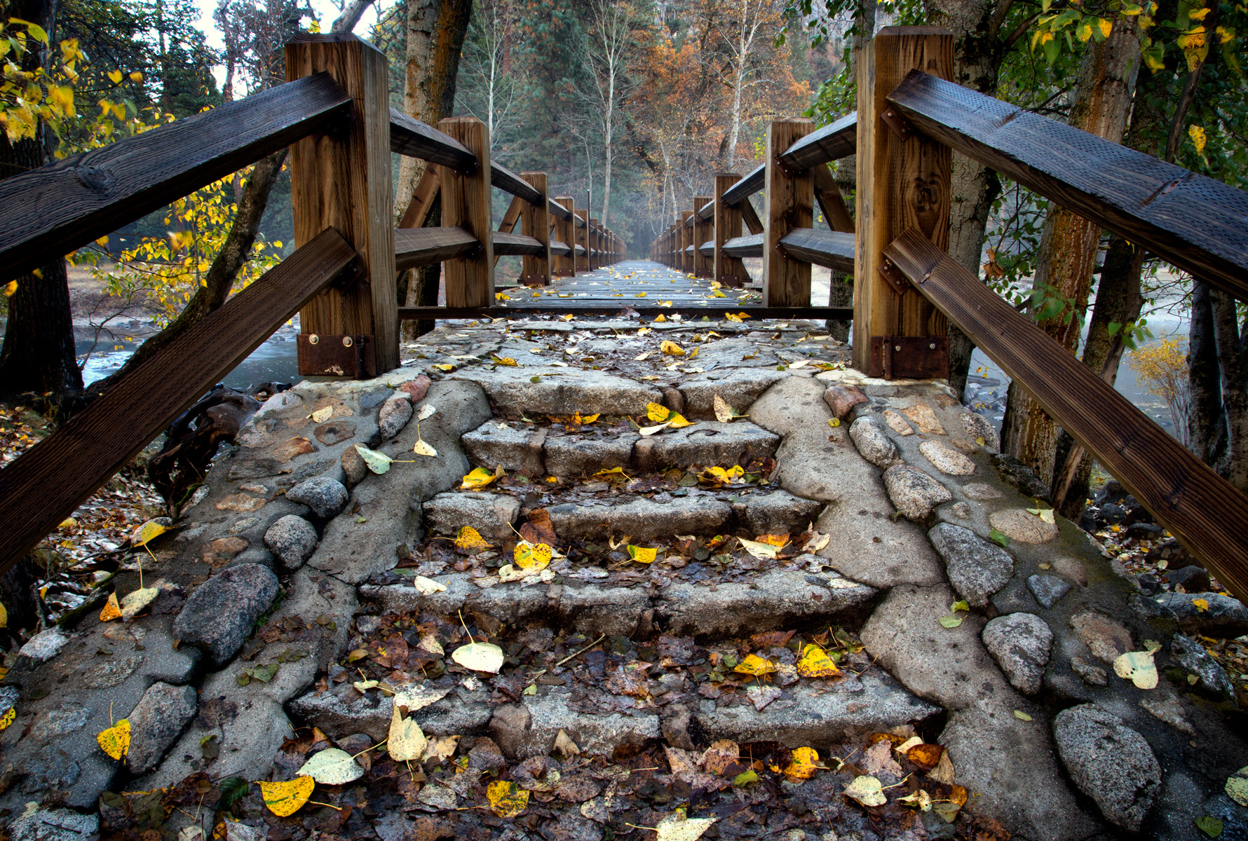 Nieslony Photography -