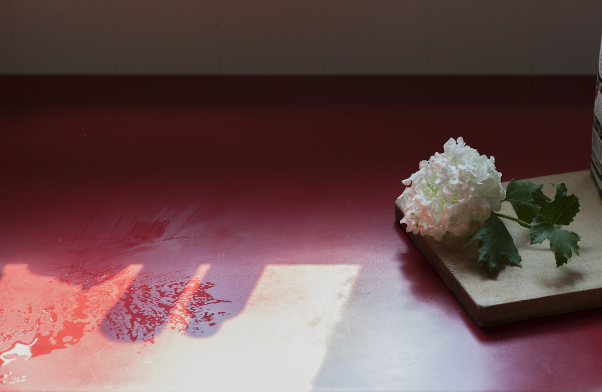 Jennifer Murray - Formica 