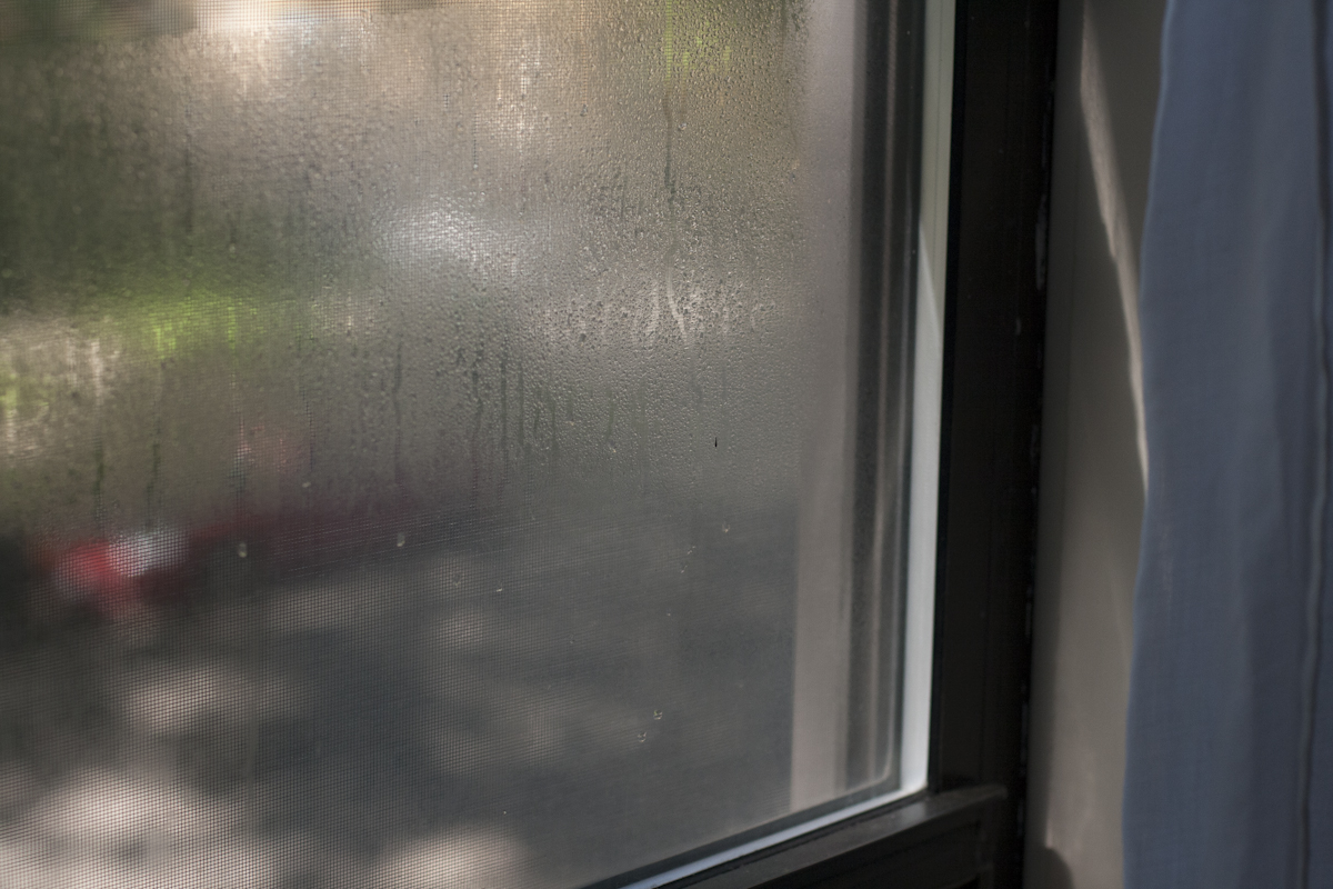 Jennifer Murray - The seals are broken 