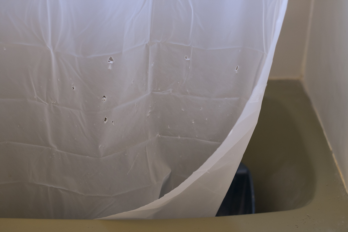 Jennifer Murray - Scratcher 