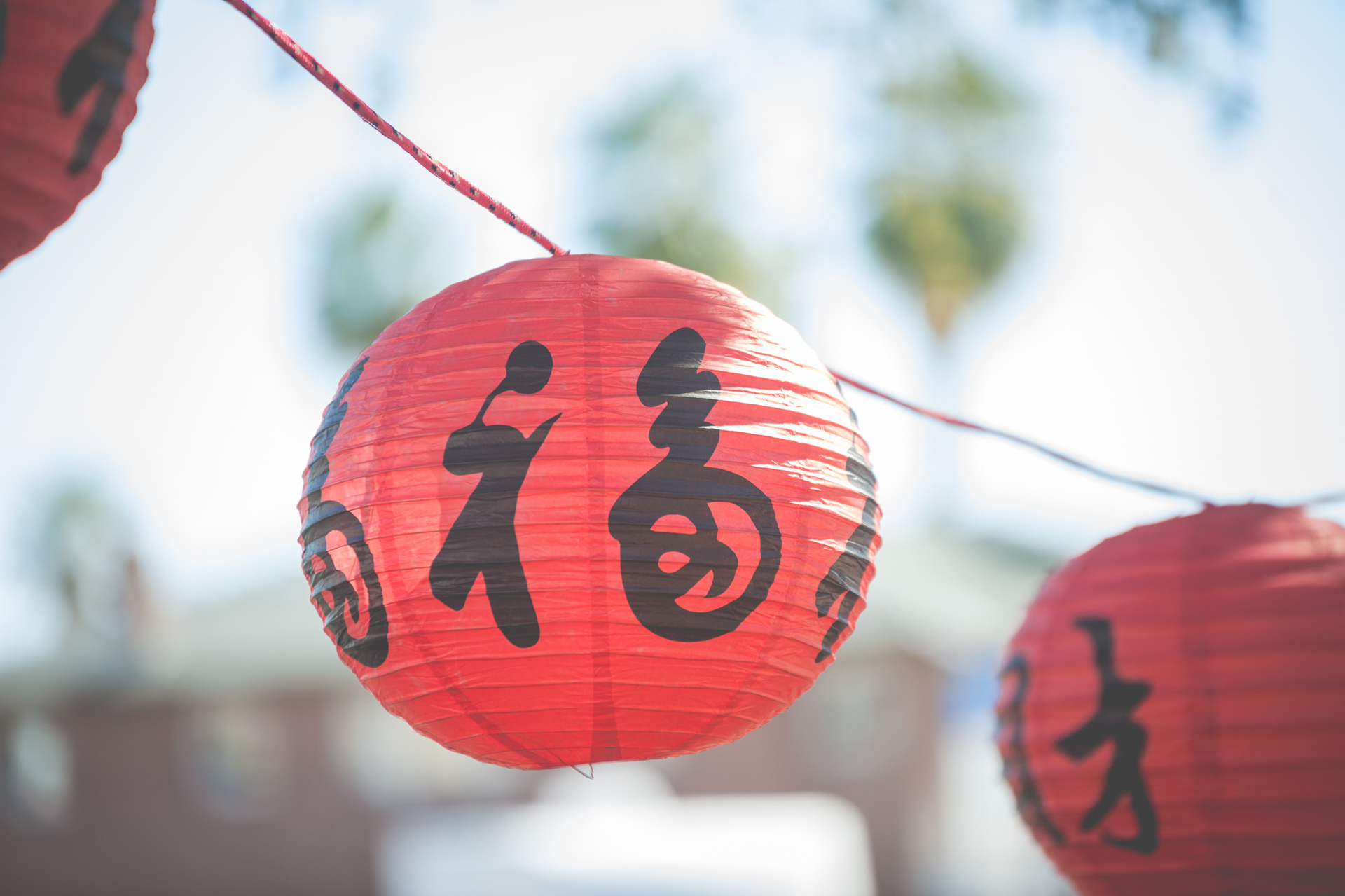 Chinese Culture & Cuisine Festival