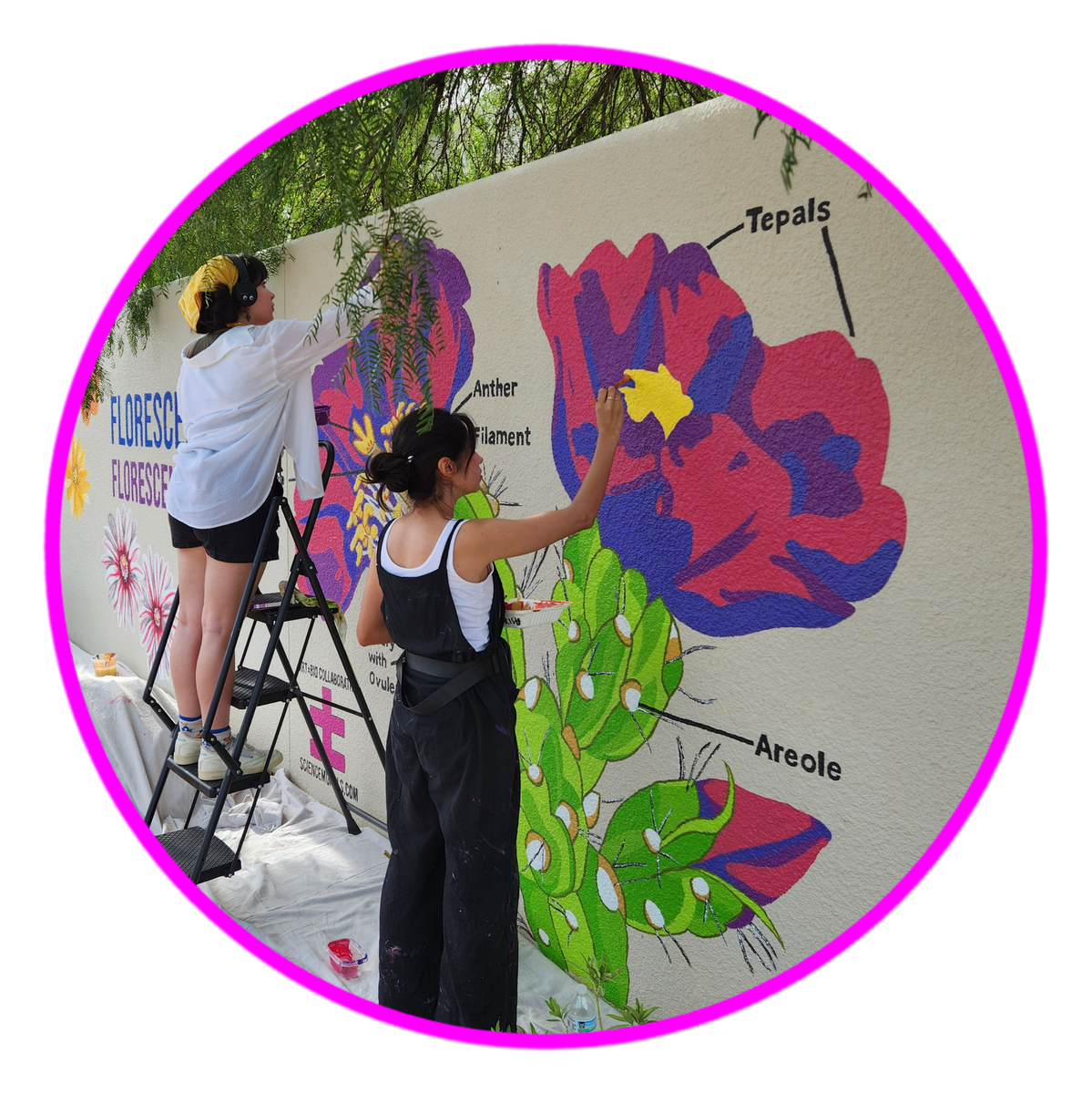 Science Murals Mentorship